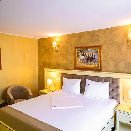 大道酒店 康斯坦察