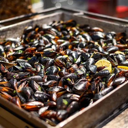 酒店 大道酒店 4*